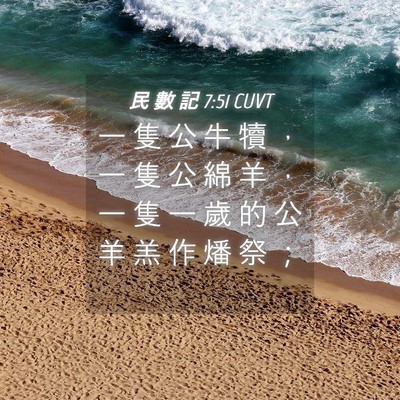 Picture 04 - 民 數 記 7:51 CUVT - 一 隻 公 牛 犢 ， 一 隻 公 綿 羊 ， - Bible Verse Picture