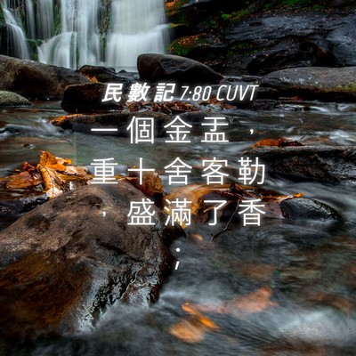 Picture 04 - 民 數 記 7:80 CUVT - 一 個 金 盂 ， 重 十 舍 客 勒 ， 盛 - Bible Verse Picture