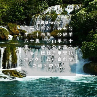 Picture 04 - 民 數 記 7:88 CUVT - 作 平 安 祭 的 ， 共 有 公 牛 二 十 - Bible Verse Picture