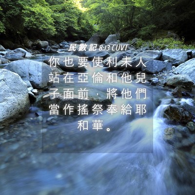 Picture 04 - 民 數 記 8:13 CUVT - 你 也 要 使 利 未 人 站 在 亞 倫 和 - Bible Verse Picture