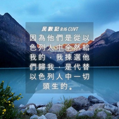 Picture 04 - 民 數 記 8:16 CUVT - 因 為 他 們 是 從 以 色 列 人 中 全 - Bible Verse Picture