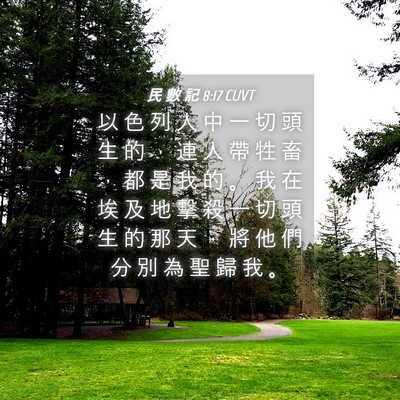 Picture 04 - 民 數 記 8:17 CUVT - 以 色 列 人 中 一 切 頭 生 的 ， 連 - Bible Verse Picture