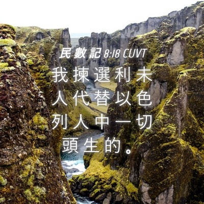 Picture 04 - 民 數 記 8:18 CUVT - 我 揀 選 利 未 人 代 替 以 色 列 人 - Bible Verse Picture