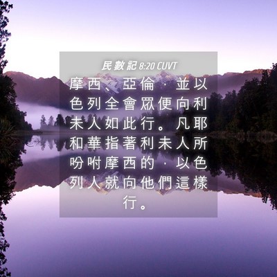 Picture 04 - 民 數 記 8:20 CUVT - 摩 西 、 亞 倫 ， 並 以 色 列 全 會 - Bible Verse Picture