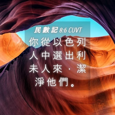 Picture 04 - 民 數 記 8:6 CUVT - 你 從 以 色 列 人 中 選 出 利 未 人 - Bible Verse Picture