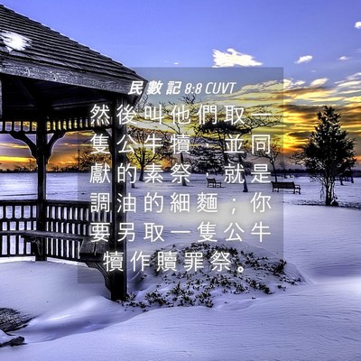 Picture 04 - 民 數 記 8:8 CUVT - 然 後 叫 他 們 取 一 隻 公 牛 犢 ， - Bible Verse Picture