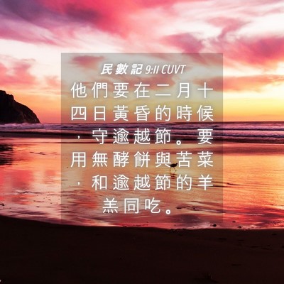 Picture 04 - 民 數 記 9:11 CUVT - 他 們 要 在 二 月 十 四 日 黃 昏 的 - Bible Verse Picture