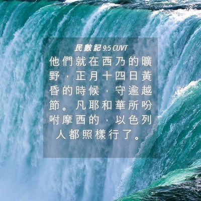 Picture 04 - 民 數 記 9:5 CUVT - 他 們 就 在 西 乃 的 曠 野 ， 正 月 - Bible Verse Picture