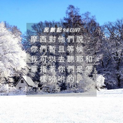 Picture 04 - 民 數 記 9:8 CUVT - 摩 西 對 他 們 說 ： 你 們 暫 且 等 - Bible Verse Picture