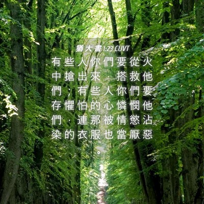 Picture 04 - 猶 大 書 1:23 CUVT - 有 些 人 你 們 要 從 火 中 搶 出 來 - Bible Verse Picture