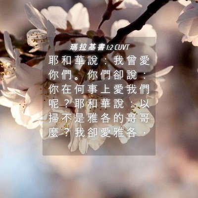 Picture 04 - 瑪 拉 基 書 1:2 CUVT - 耶 和 華 說 ： 我 曾 愛 你 們 。 你 - Bible Verse Picture