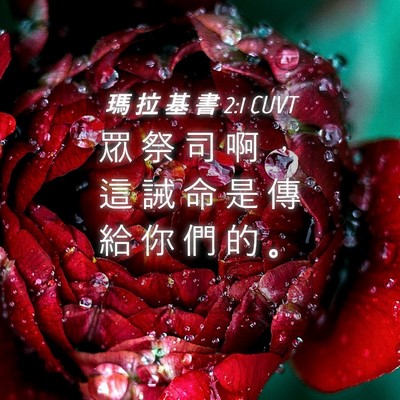 Picture 04 - 瑪 拉 基 書 2:1 CUVT - 眾 祭 司 啊 ， 這 誡 命 是 傳 給 你 - Bible Verse Picture