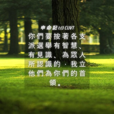 Picture 04 - 申 命 記 1:13 CUVT - 你 們 要 按 著 各 支 派 選 舉 有 智 - Bible Verse Picture