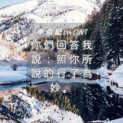 Picture 04 - 申 命 記 1:14 CUVT - 你 們 回 答 我 說 ： 照 你 所 說 的 - Bible Verse Picture