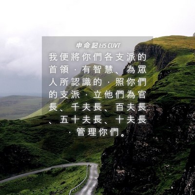 Picture 04 - 申 命 記 1:15 CUVT - 我 便 將 你 們 各 支 派 的 首 領 ， - Bible Verse Picture