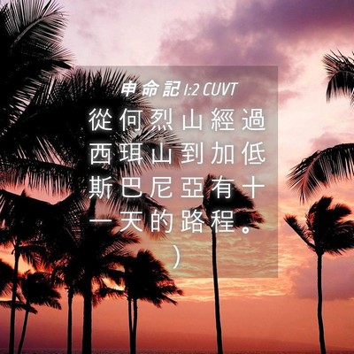 Picture 04 - 申 命 記 1:2 CUVT - 從 何 烈 山 經 過 西 珥 山 到 加 低 - Bible Verse Picture