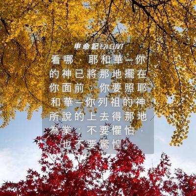 Picture 04 - 申 命 記 1:21 CUVT - 看 哪 ， 耶 和 華 ─ 你 的 神 已 將 - Bible Verse Picture