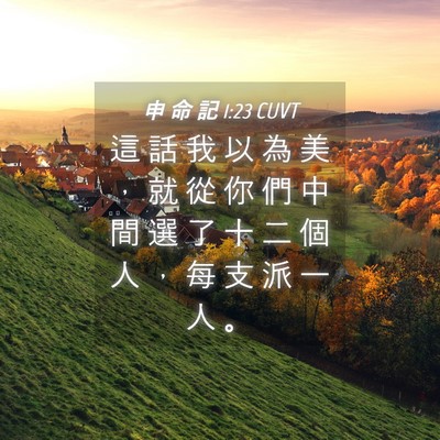 Picture 04 - 申 命 記 1:23 CUVT - 這 話 我 以 為 美 ， 就 從 你 們 中 - Bible Verse Picture