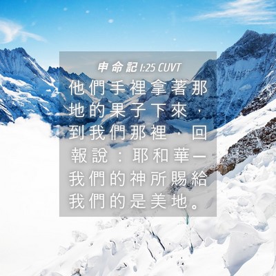 Picture 04 - 申 命 記 1:25 CUVT - 他 們 手 裡 拿 著 那 地 的 果 子 下 - Bible Verse Picture
