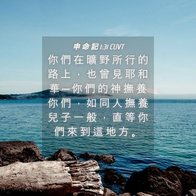 Picture 04 - 申 命 記 1:31 CUVT - 你 們 在 曠 野 所 行 的 路 上 ， 也 - Bible Verse Picture