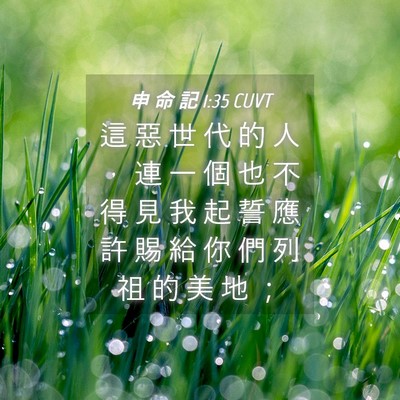 Picture 04 - 申 命 記 1:35 CUVT - 這 惡 世 代 的 人 ， 連 一 個 也 不 - Bible Verse Picture