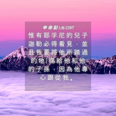 Picture 04 - 申 命 記 1:36 CUVT - 惟 有 耶 孚 尼 的 兒 子 迦 勒 必 得 - Bible Verse Picture
