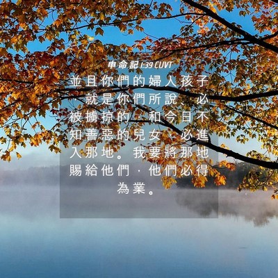 Picture 04 - 申 命 記 1:39 CUVT - 並 且 你 們 的 婦 人 孩 子 ， 就 是 - Bible Verse Picture