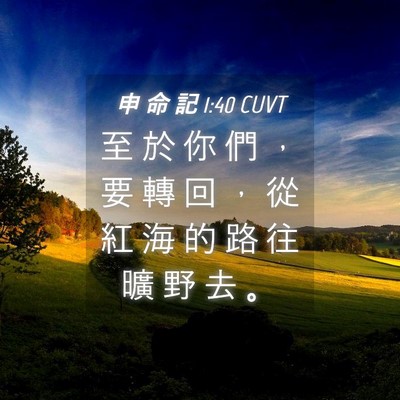 Picture 04 - 申 命 記 1:40 CUVT - 至 於 你 們 ， 要 轉 回 ， 從 紅 海 - Bible Verse Picture