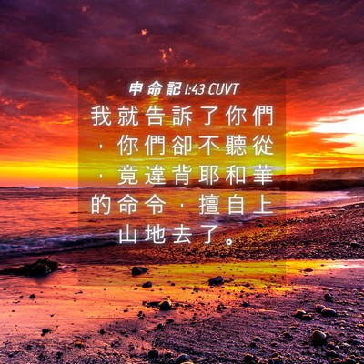 Picture 04 - 申 命 記 1:43 CUVT - 我 就 告 訴 了 你 們 ， 你 們 卻 不 - Bible Verse Picture