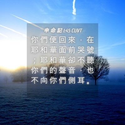 Picture 04 - 申 命 記 1:45 CUVT - 你 們 便 回 來 ， 在 耶 和 華 面 前 - Bible Verse Picture