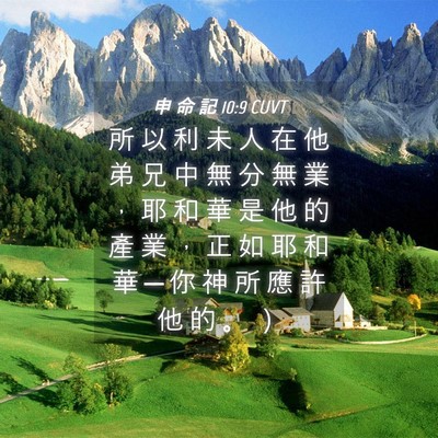 Picture 04 - 申 命 記 10:9 CUVT - 所 以 利 未 人 在 他 弟 兄 中 無 分 - Bible Verse Picture