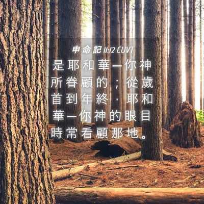 Picture 04 - 申 命 記 11:12 CUVT - 是 耶 和 華 ─ 你 神 所 眷 顧 的 ； - Bible Verse Picture
