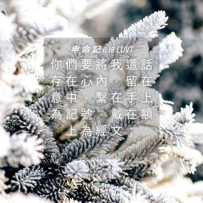 Picture 04 - 申 命 記 11:18 CUVT - 你 們 要 將 我 這 話 存 在 心 內 ， - Bible Verse Picture