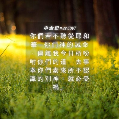 Picture 04 - 申 命 記 11:28 CUVT - 你 們 若 不 聽 從 耶 和 華 ─ 你 們 - Bible Verse Picture