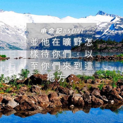 Picture 04 - 申 命 記 11:5 CUVT - 並 他 在 曠 野 怎 樣 待 你 們 ， 以 - Bible Verse Picture