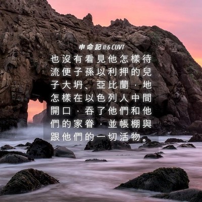 Picture 04 - 申 命 記 11:6 CUVT - 也 沒 有 看 見 他 怎 樣 待 流 便 子 - Bible Verse Picture