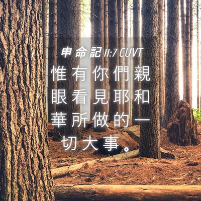 Picture 04 - 申 命 記 11:7 CUVT - 惟 有 你 們 親 眼 看 見 耶 和 華 所 - Bible Verse Picture