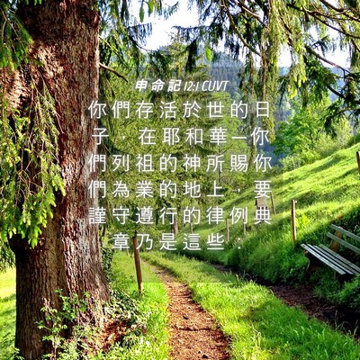 Picture 04 - 申 命 記 12:1 CUVT - 你 們 存 活 於 世 的 日 子 ， 在 耶 - Bible Verse Picture