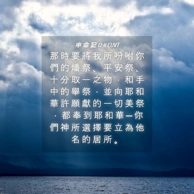 Picture 04 - 申 命 記 12:11 CUVT - 那 時 要 將 我 所 吩 咐 你 們 的 燔 - Bible Verse Picture