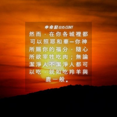 Picture 04 - 申 命 記 12:15 CUVT - 然 而 ， 在 你 各 城 裡 都 可 以 照 - Bible Verse Picture