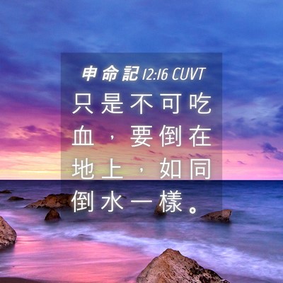 Picture 04 - 申 命 記 12:16 CUVT - 只 是 不 可 吃 血 ， 要 倒 在 地 上 - Bible Verse Picture