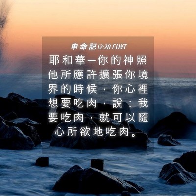 Picture 04 - 申 命 記 12:20 CUVT - 耶 和 華 ─ 你 的 神 照 他 所 應 許 - Bible Verse Picture