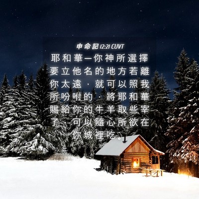 Picture 04 - 申 命 記 12:21 CUVT - 耶 和 華 ─ 你 神 所 選 擇 要 立 他 - Bible Verse Picture