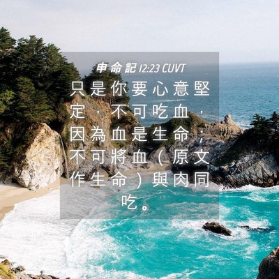 Picture 04 - 申 命 記 12:23 CUVT - 只 是 你 要 心 意 堅 定 ， 不 可 吃 - Bible Verse Picture