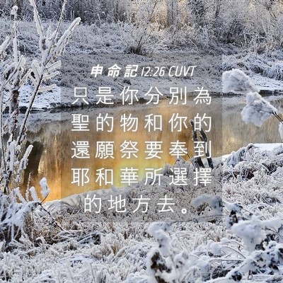 Picture 04 - 申 命 記 12:26 CUVT - 只 是 你 分 別 為 聖 的 物 和 你 的 - Bible Verse Picture
