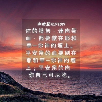 Picture 04 - 申 命 記 12:27 CUVT - 你 的 燔 祭 ， 連 肉 帶 血 ， 都 要 - Bible Verse Picture