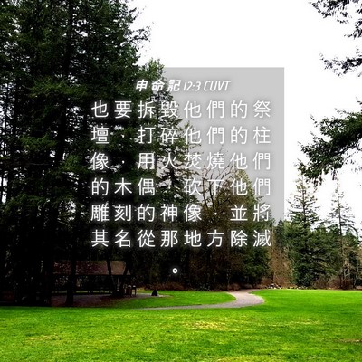 Picture 04 - 申 命 記 12:3 CUVT - 也 要 拆 毀 他 們 的 祭 壇 ， 打 碎 - Bible Verse Picture