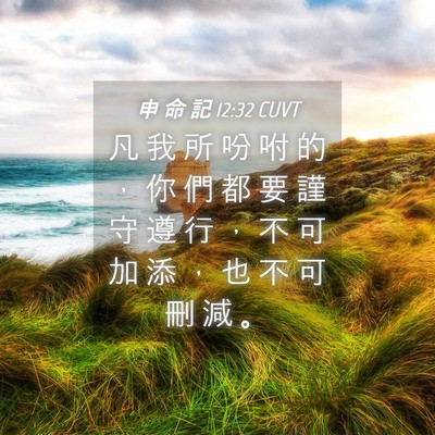 Picture 04 - 申 命 記 12:32 CUVT - 凡 我 所 吩 咐 的 ， 你 們 都 要 謹 - Bible Verse Picture