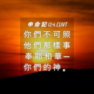 Picture 04 - 申 命 記 12:4 CUVT - 你 們 不 可 照 他 們 那 樣 事 奉 耶 - Bible Verse Picture