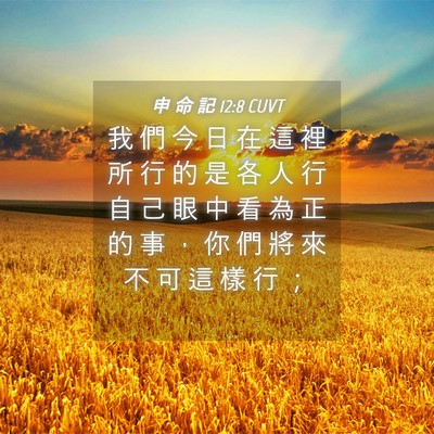 Picture 04 - 申 命 記 12:8 CUVT - 我 們 今 日 在 這 裡 所 行 的 是 各 - Bible Verse Picture
